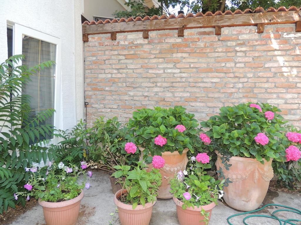 מאלינסקה Apartments Antonija מראה חיצוני תמונה